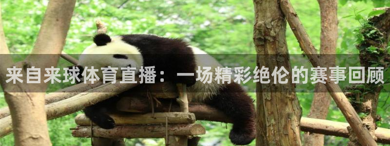 来自来球体育直播：一场精彩绝伦的赛事回顾