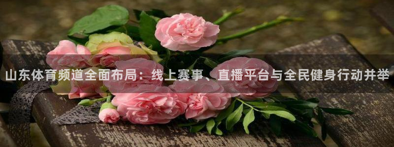 山东体育频道全面布局：线上赛事、直播平台与全民健身行动并举